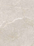Grigio Vein NML66A10