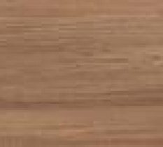 BELLA SYLVA<br> NML15908
