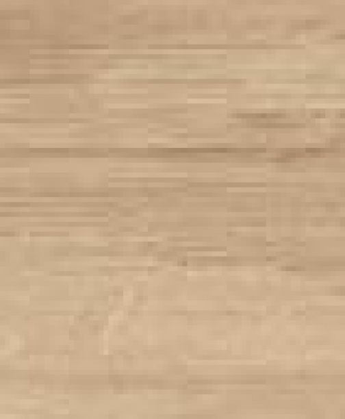 BELLA SYLVA<br> NML15906
